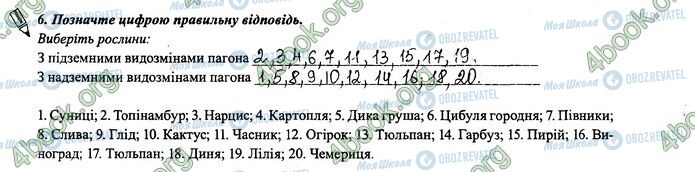 ГДЗ Биология 6 класс страница 30.6